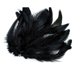 Csirke toll 6-20 cm - fekete